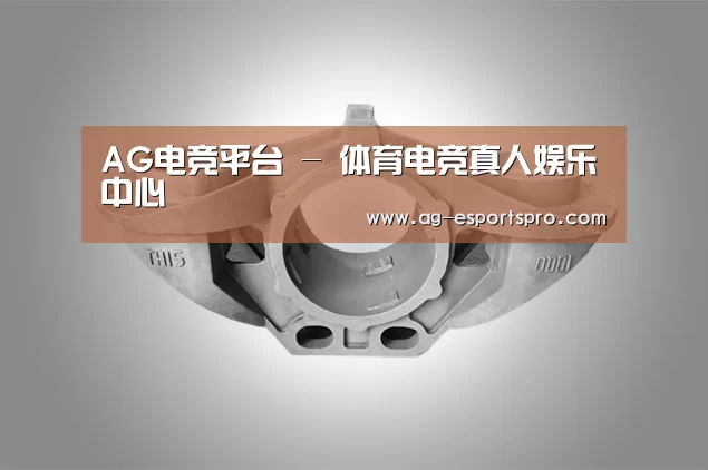 产品展示标题三