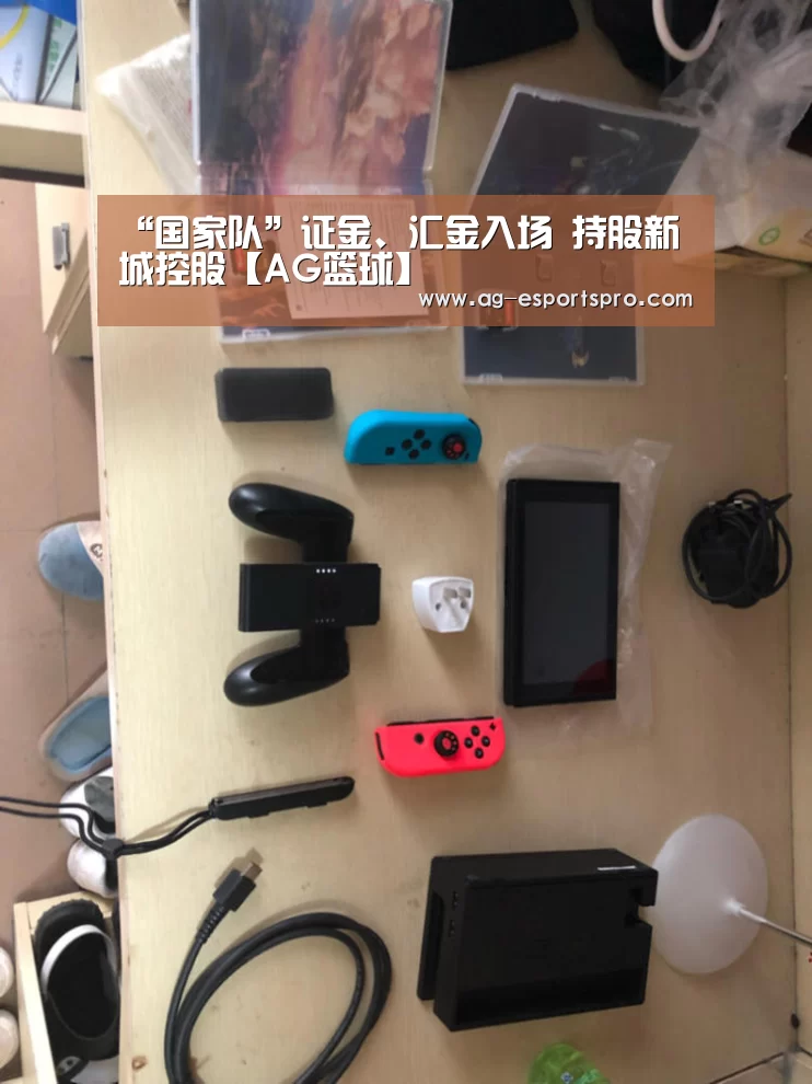 “国家队”证金、汇金入场 持股新城控股【AG篮球】(图1) AG篮球
