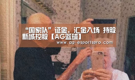 “国家队”证金、汇金入场 持股新城控股【AG篮球】(图3) AG足球