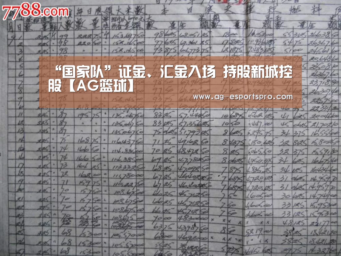 “国家队”证金、汇金入场 持股新城控股【AG篮球】(图4) AG足球