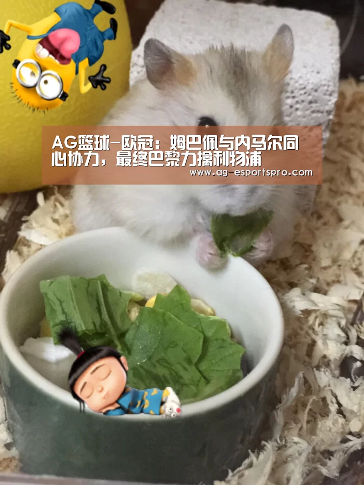 AG篮球-欧冠:姆巴佩与内马尔同心协力,最终巴黎力擒利物浦(图3) AG足球