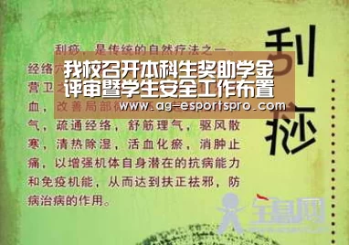 我校召开本科生奖助学金评审暨学生安全工作布置会|AG足球(图2) AG篮球